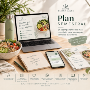 Plan Semestral