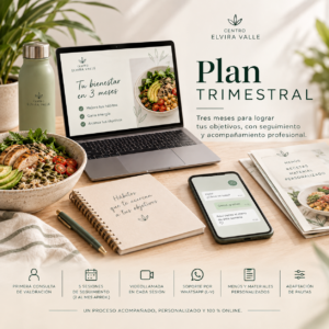 Plan Trimestral